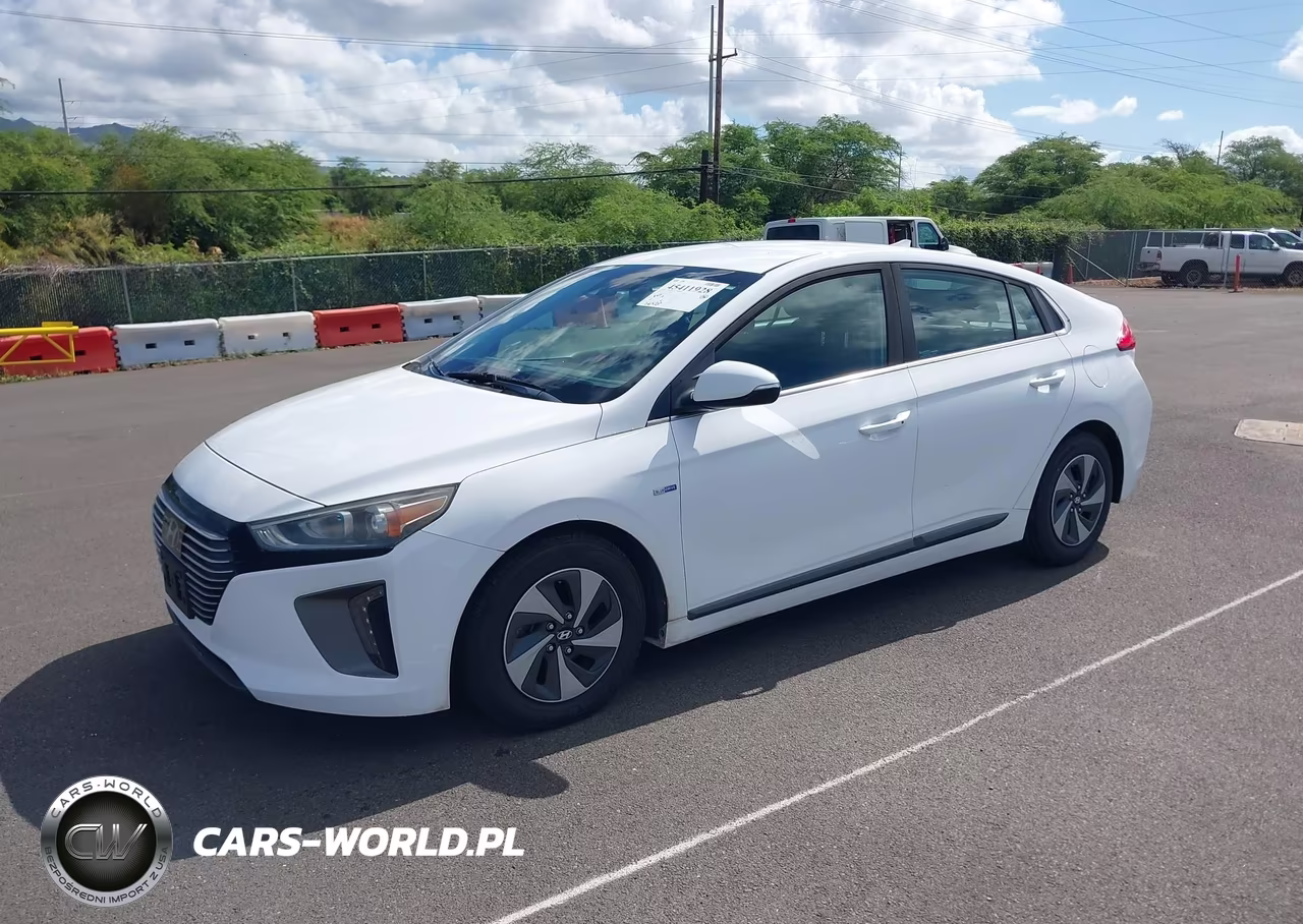 2019 Hyundai Ioniq Hybrid Sel VIN:KMHC75LC6KU106763 - 2