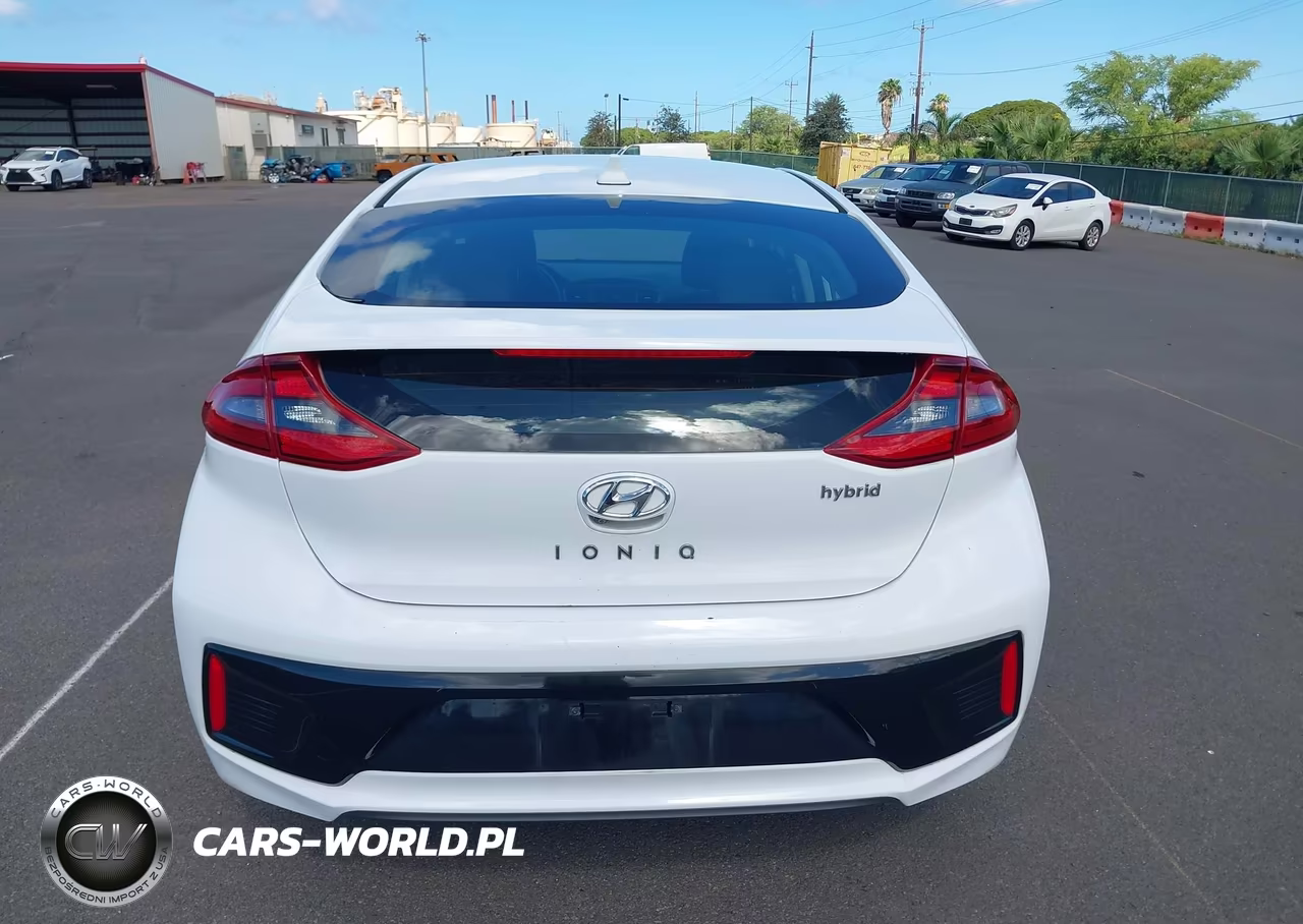 2019 Hyundai Ioniq Hybrid Sel VIN:KMHC75LC6KU106763 - 21