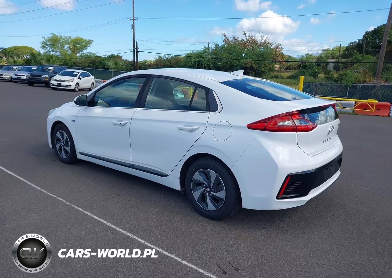 2019 Hyundai Ioniq Hybrid Sel VIN:KMHC75LC6KU106763 - 3