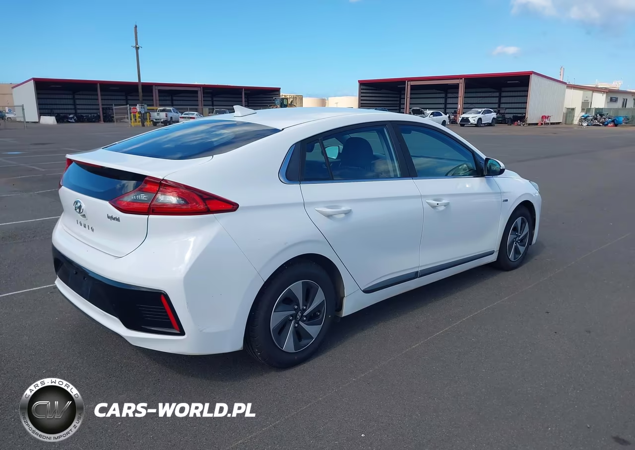 2019 Hyundai Ioniq Hybrid Sel VIN:KMHC75LC6KU106763 - 4