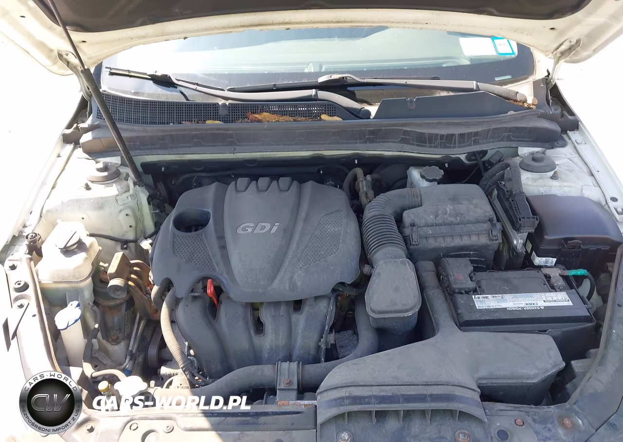 2015 Kia Optima Lx VIN:KNAGM4A71F5653516 - 10