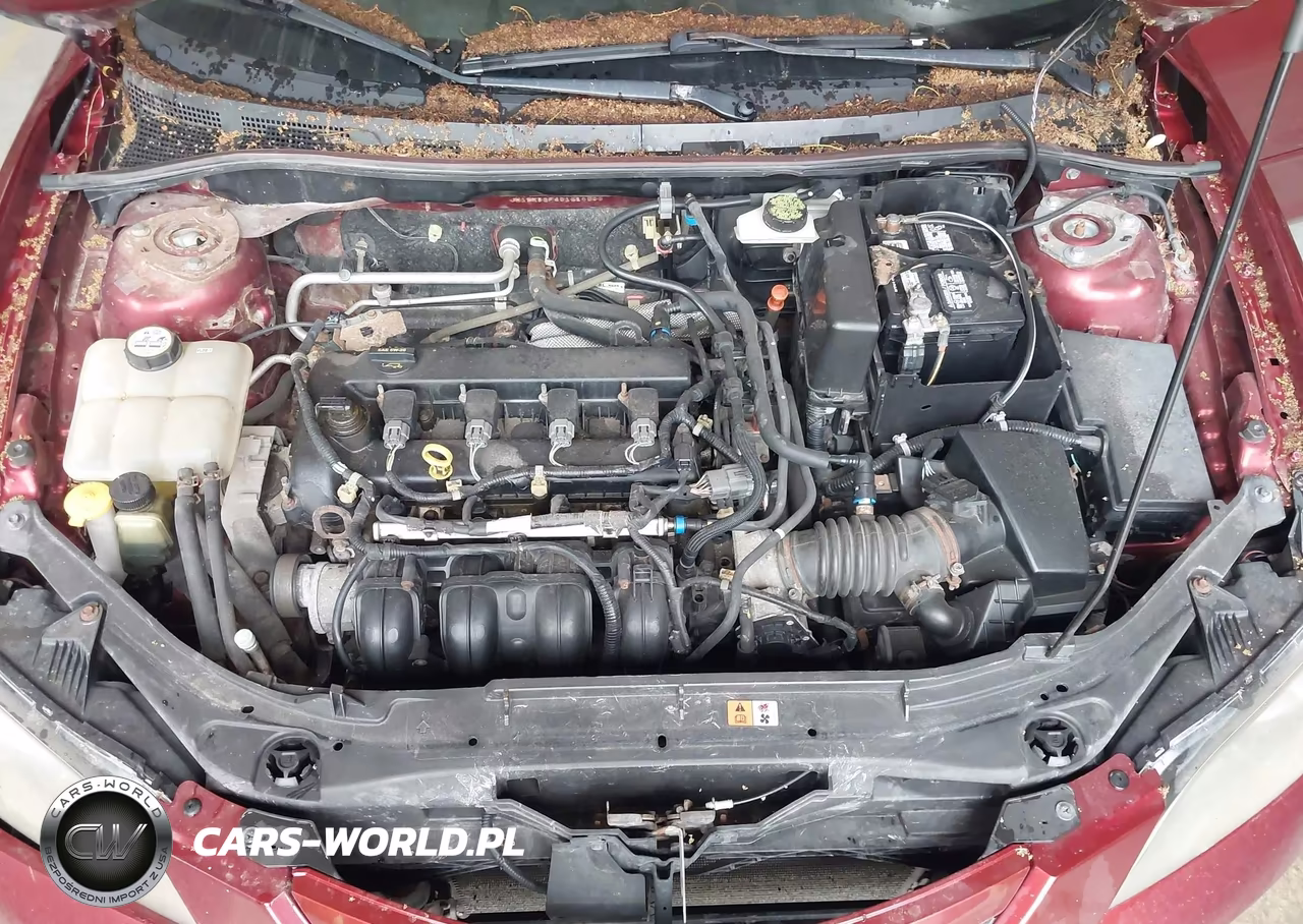2009 Mazda Mazda3 I VIN:JM1BK32F491216298 - 10