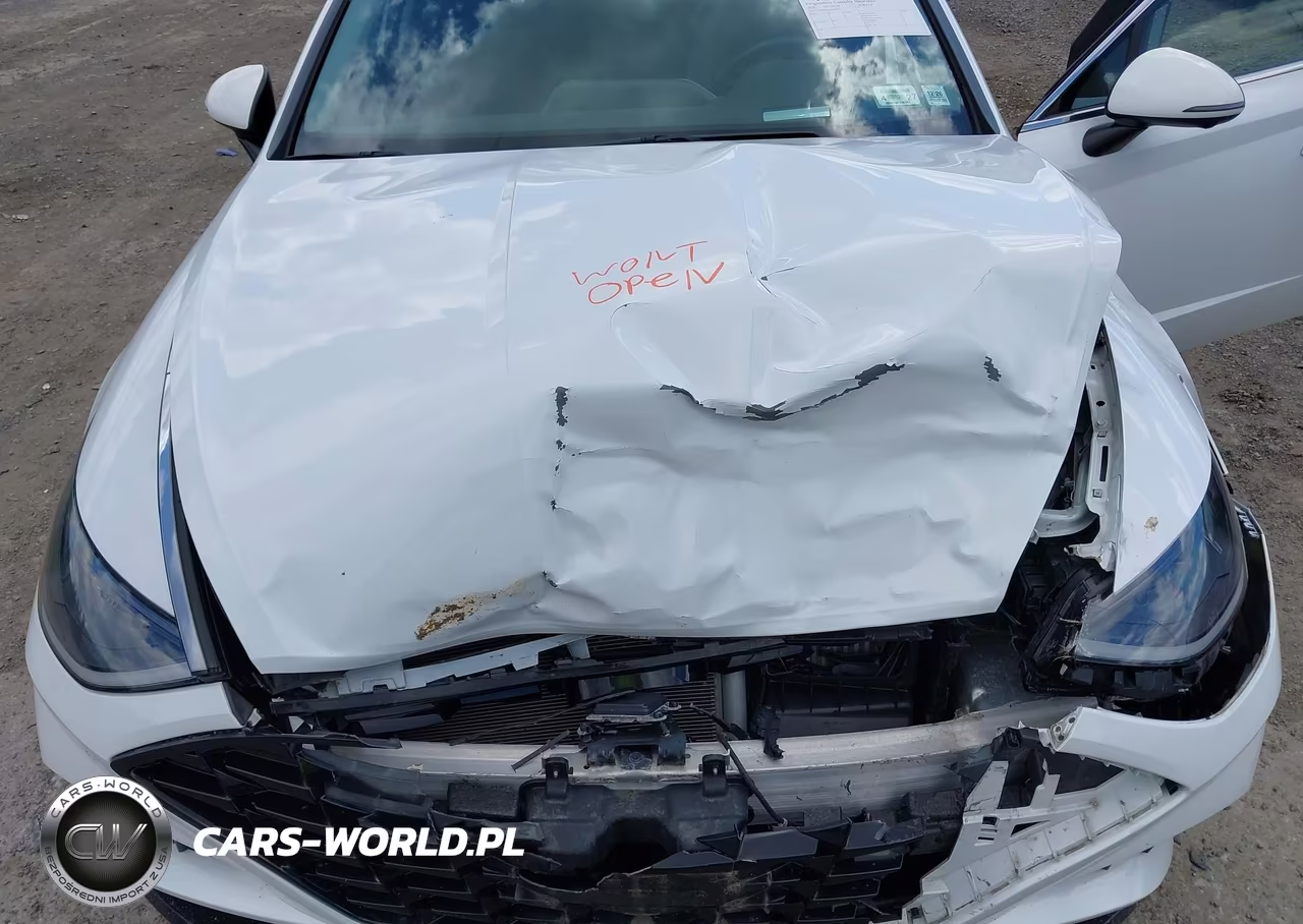2020 Hyundai Sonata Limited VIN:5NPEH4J28LH032997 - 10