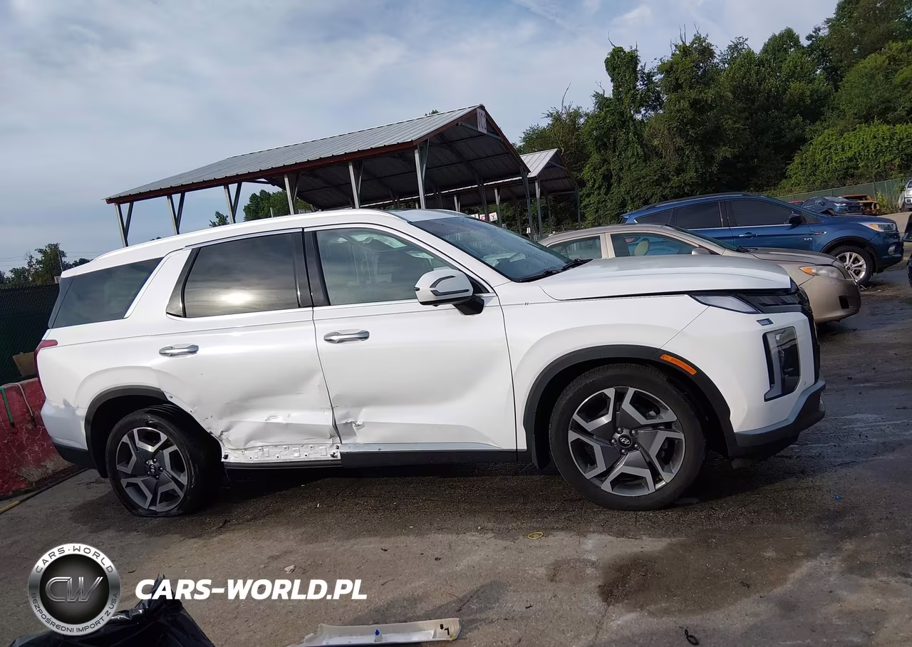 2024 Hyundai Palisade Sel VIN:KM8R4DGE5RU681746 - 14