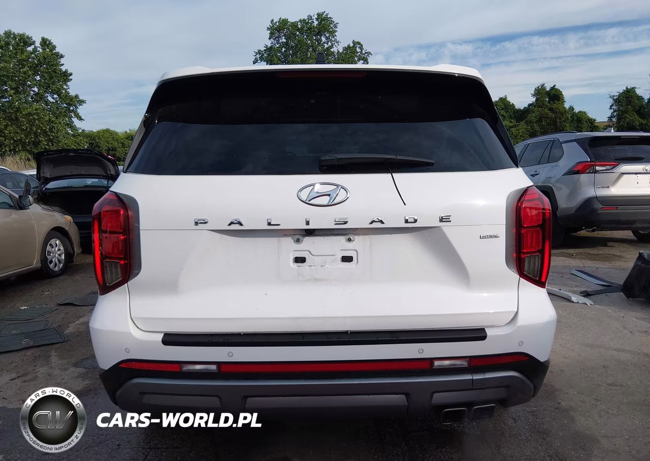 2024 Hyundai Palisade Sel VIN:KM8R4DGE5RU681746 - 17