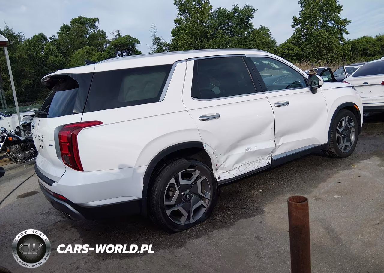 2024 Hyundai Palisade Sel VIN:KM8R4DGE5RU681746 - 4