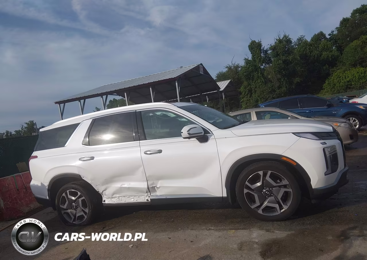 2024 Hyundai Palisade Sel VIN:KM8R4DGE5RU681746 - 6