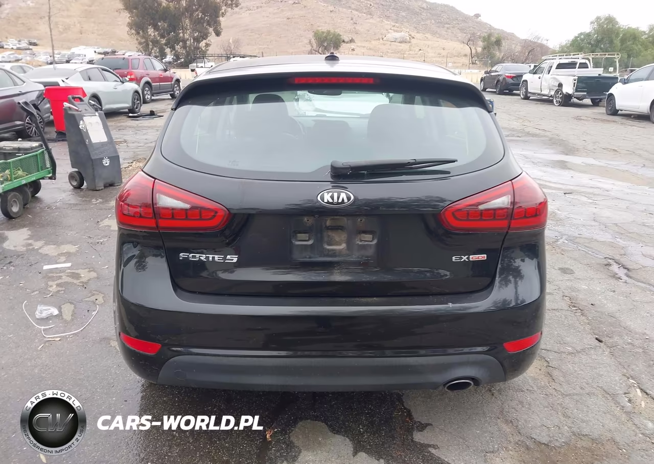 2016 Kia Forte Ex VIN:KNAFX5A81G5526798 - 16