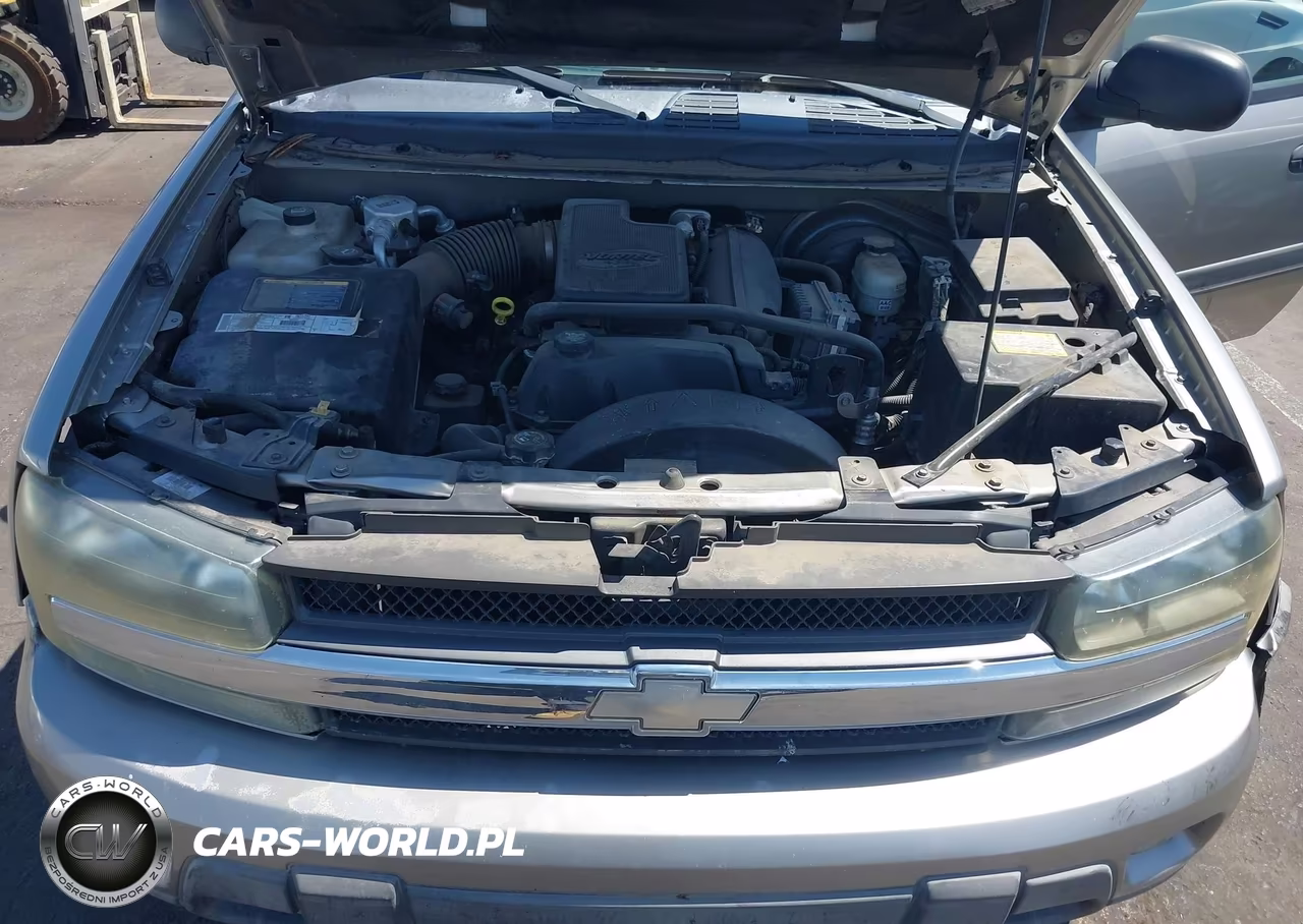 2002 Chevrolet Trailblazer Lt VIN:1GNDS13S422523602 - 10