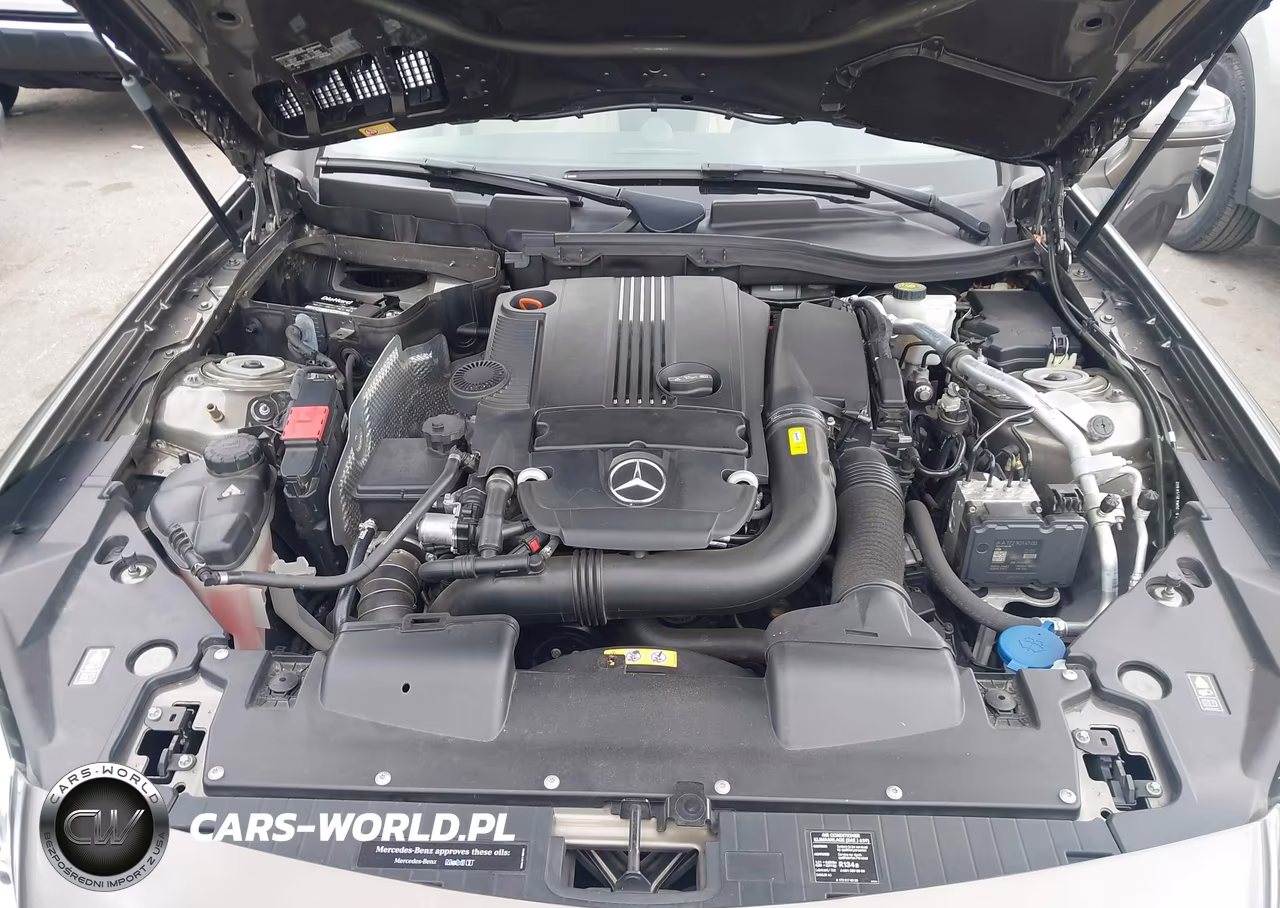 2015 Mercedes-Benz Slk 250 VIN:WDDPK4HA6FF099612 - 10