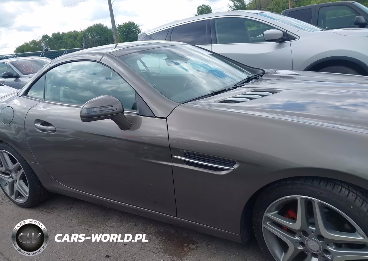 2015 Mercedes-Benz Slk 250 VIN:WDDPK4HA6FF099612 - 13