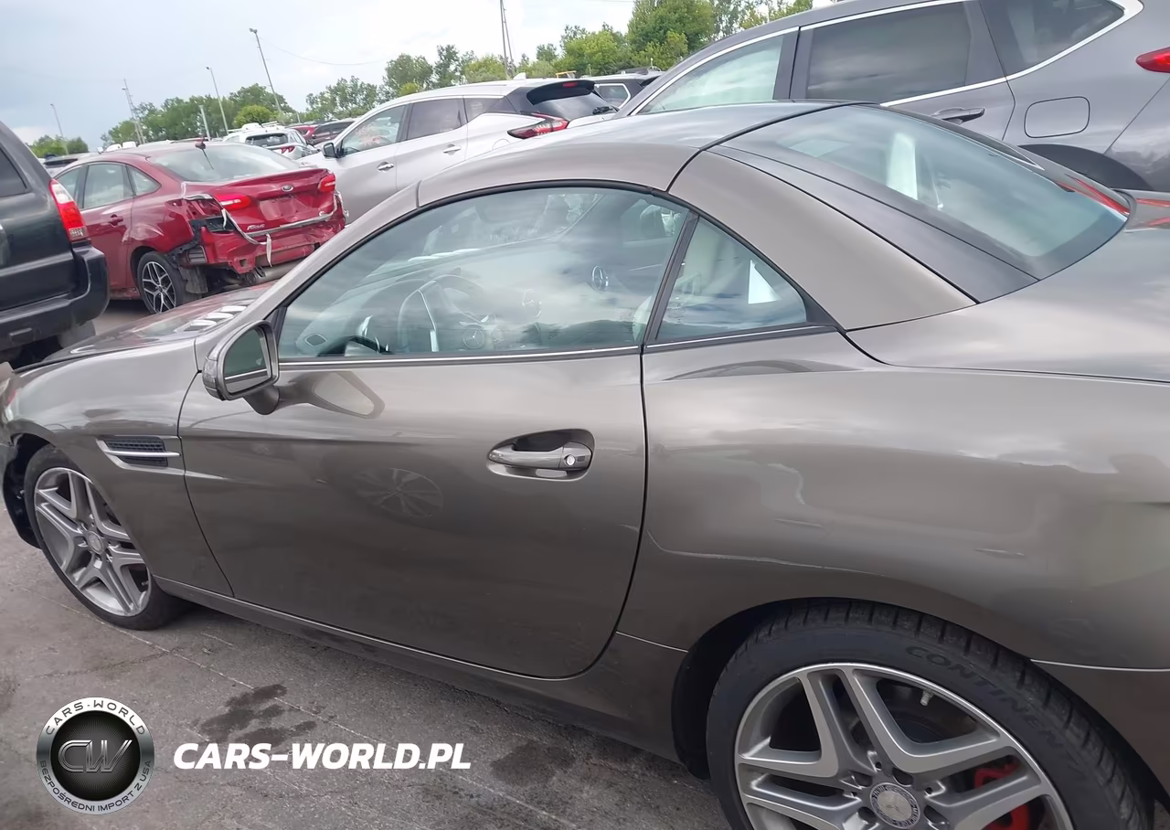 2015 Mercedes-Benz Slk 250 VIN:WDDPK4HA6FF099612 - 14