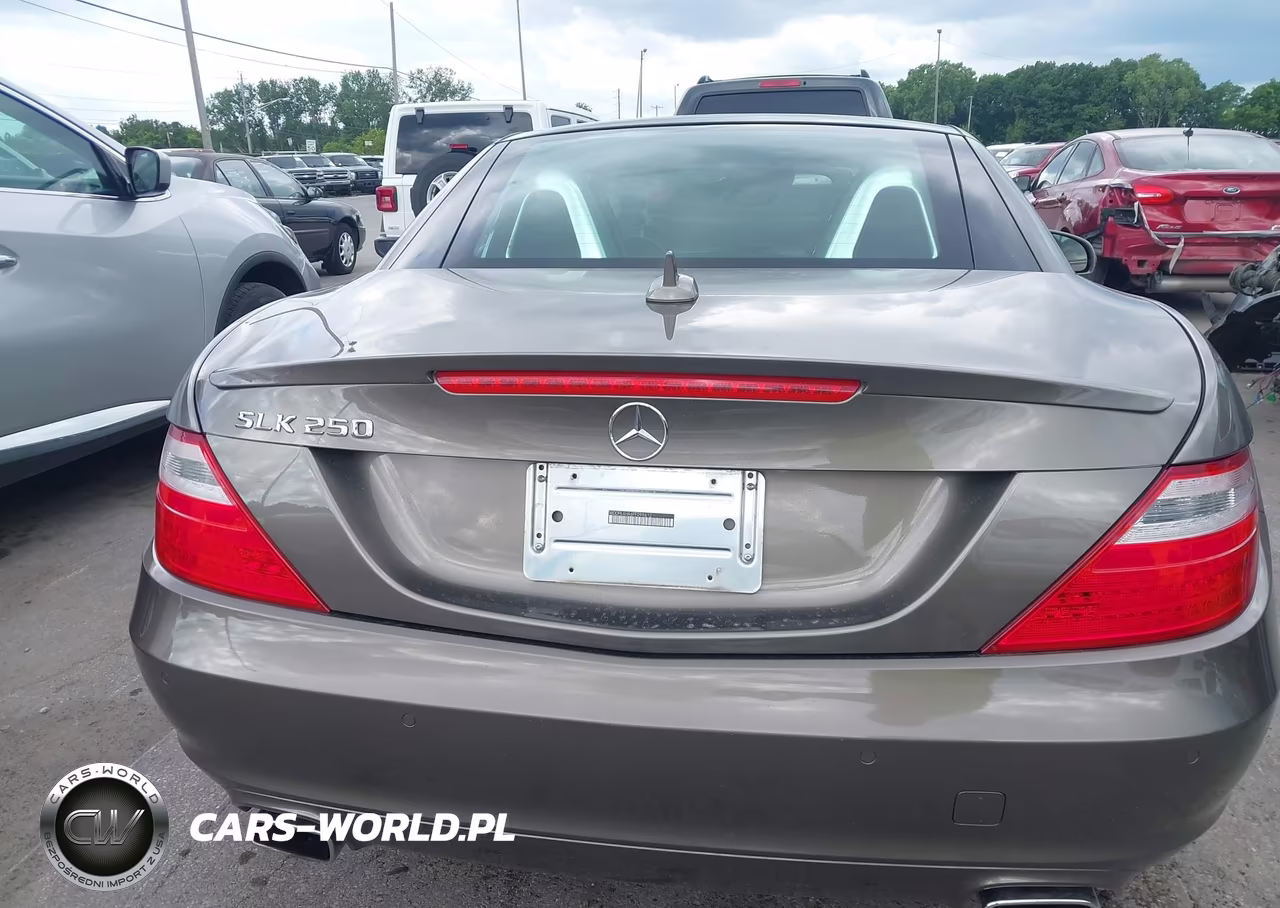 2015 Mercedes-Benz Slk 250 VIN:WDDPK4HA6FF099612 - 16