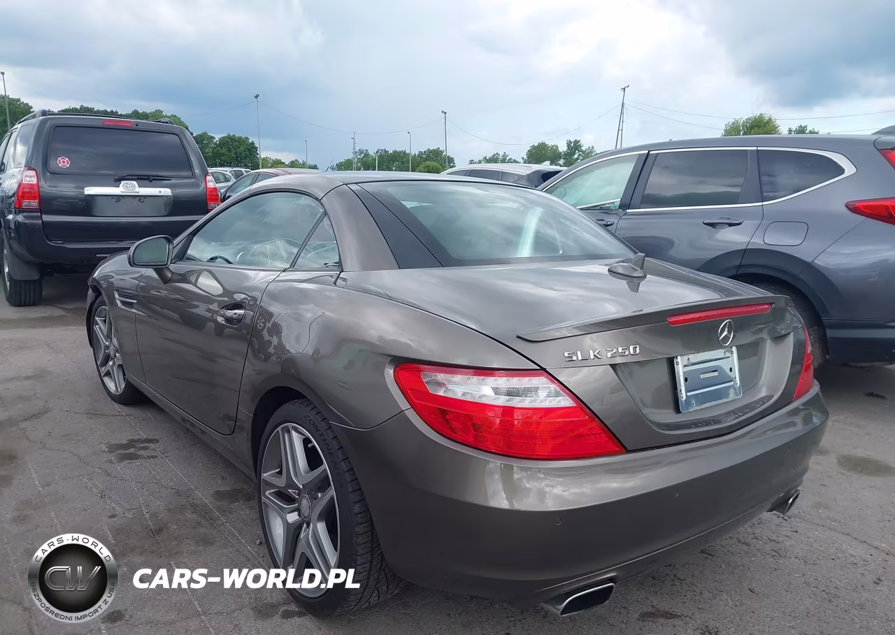 2015 Mercedes-Benz Slk 250 VIN:WDDPK4HA6FF099612 - 3