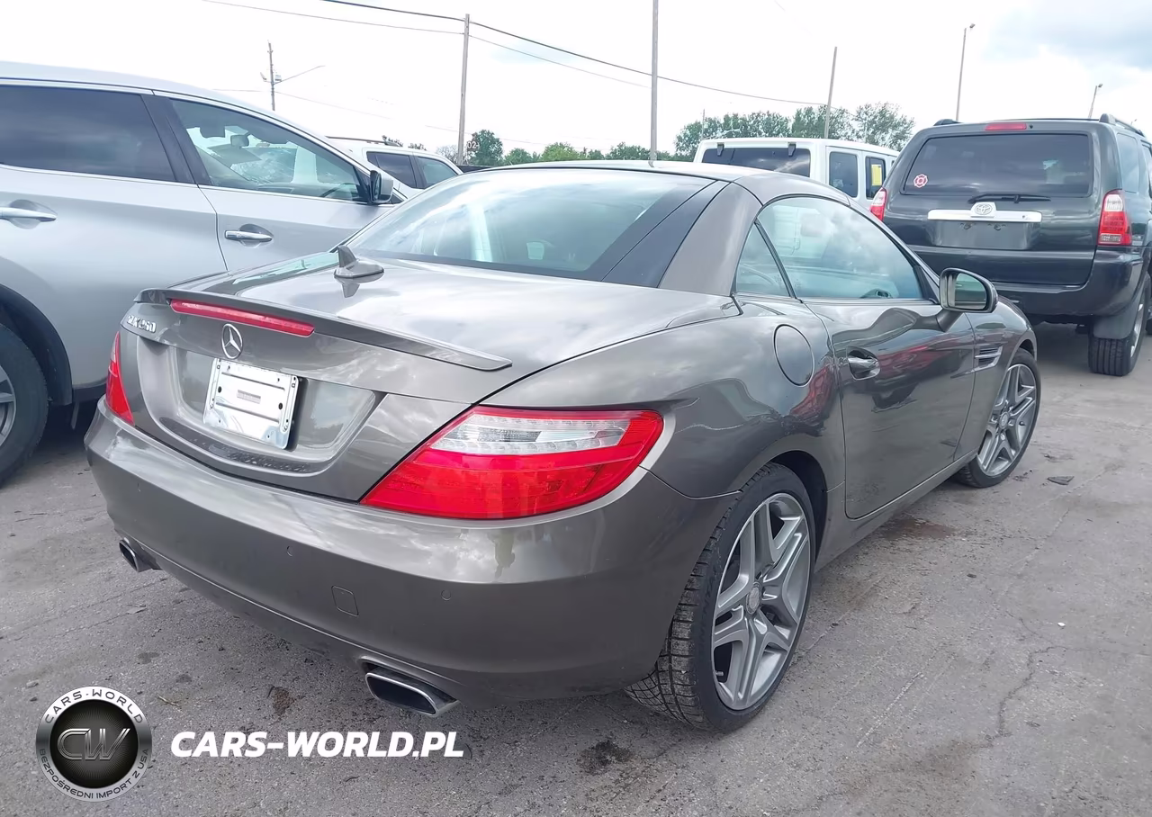 2015 Mercedes-Benz Slk 250 VIN:WDDPK4HA6FF099612 - 4