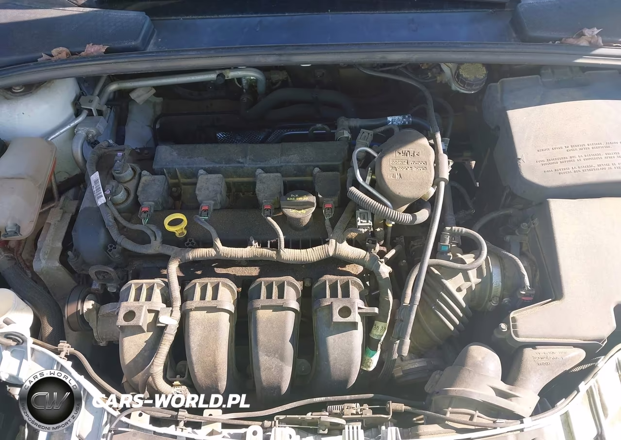 2013 Ford Focus Se VIN:1FADP3F26DL262364 - 10