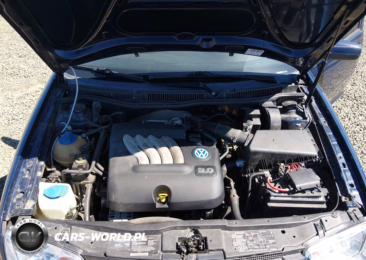 2002 Volkswagen Jetta Gls VIN:3VWSK69M12M171705 - 10
