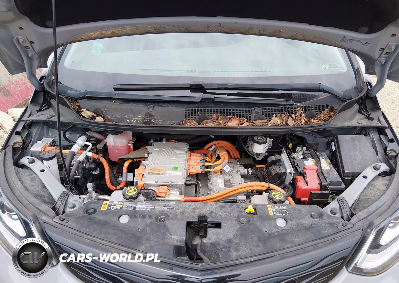 2020 Chevrolet Bolt Ev Fwd Premier VIN:1G1FZ6S01L4123957 - 10