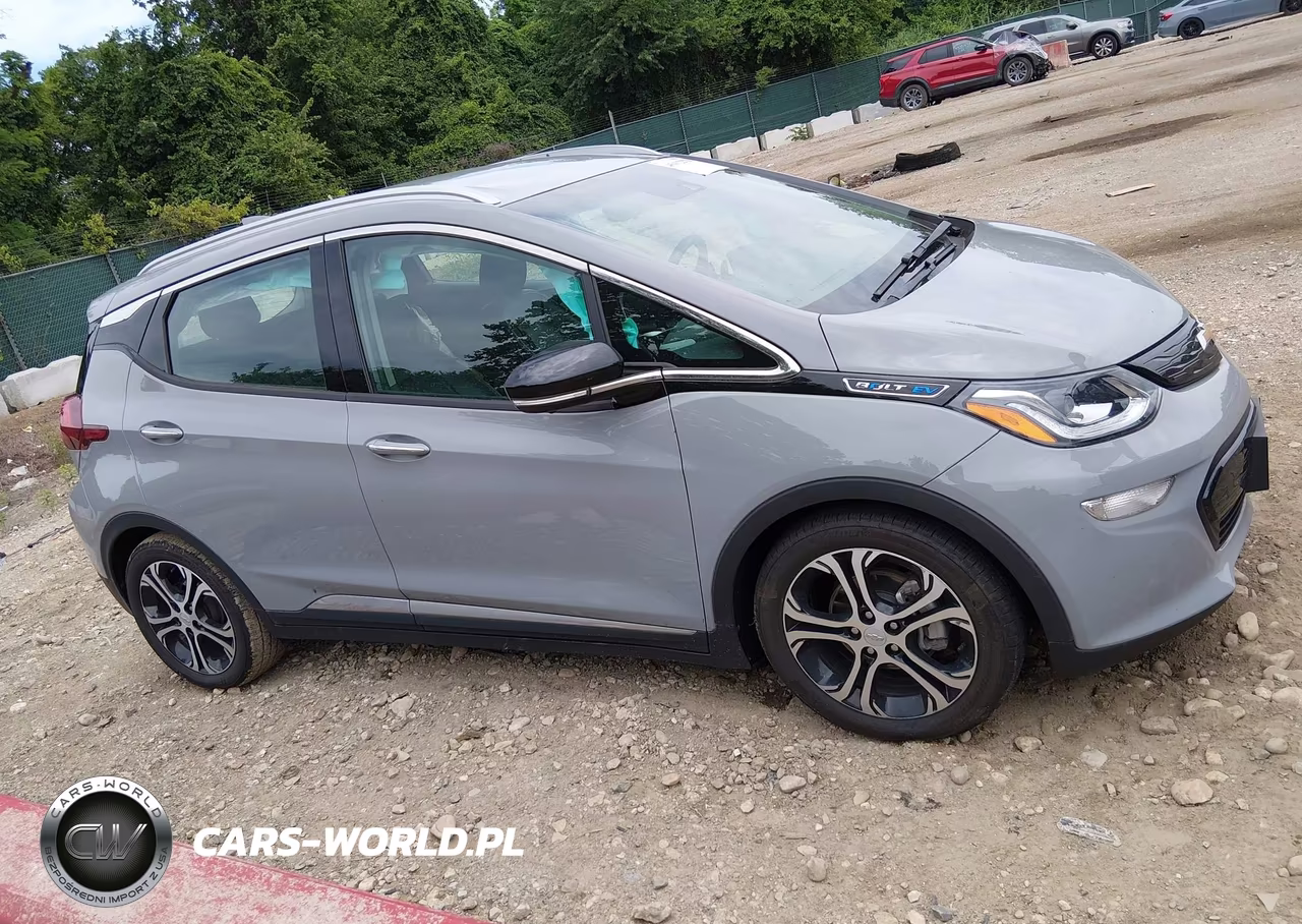 2020 Chevrolet Bolt Ev Fwd Premier VIN:1G1FZ6S01L4123957 - 13