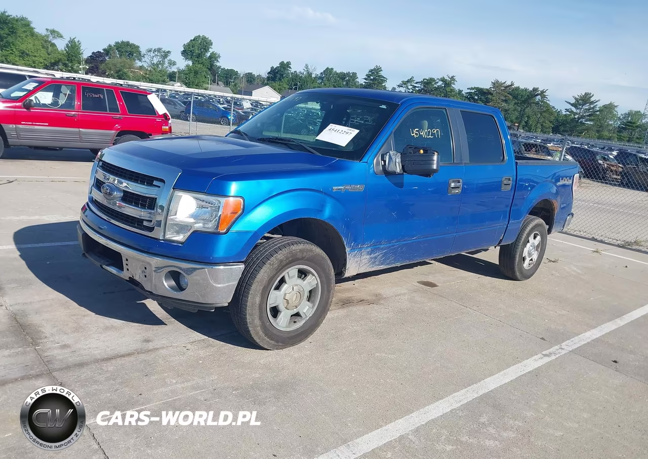 2013 Ford F-150 Fx4-King Ranch-Lariat-Platinum-Xl-Xlt VIN:1FTFW1EF8DKE94260 - 2