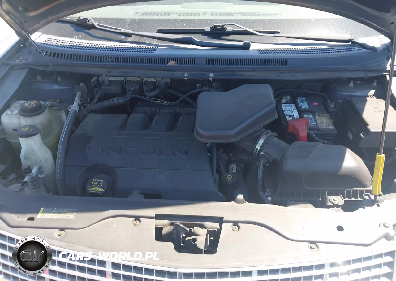 2009 Lincoln Mkx VIN:2LMDU68C79BJ10708 - 10