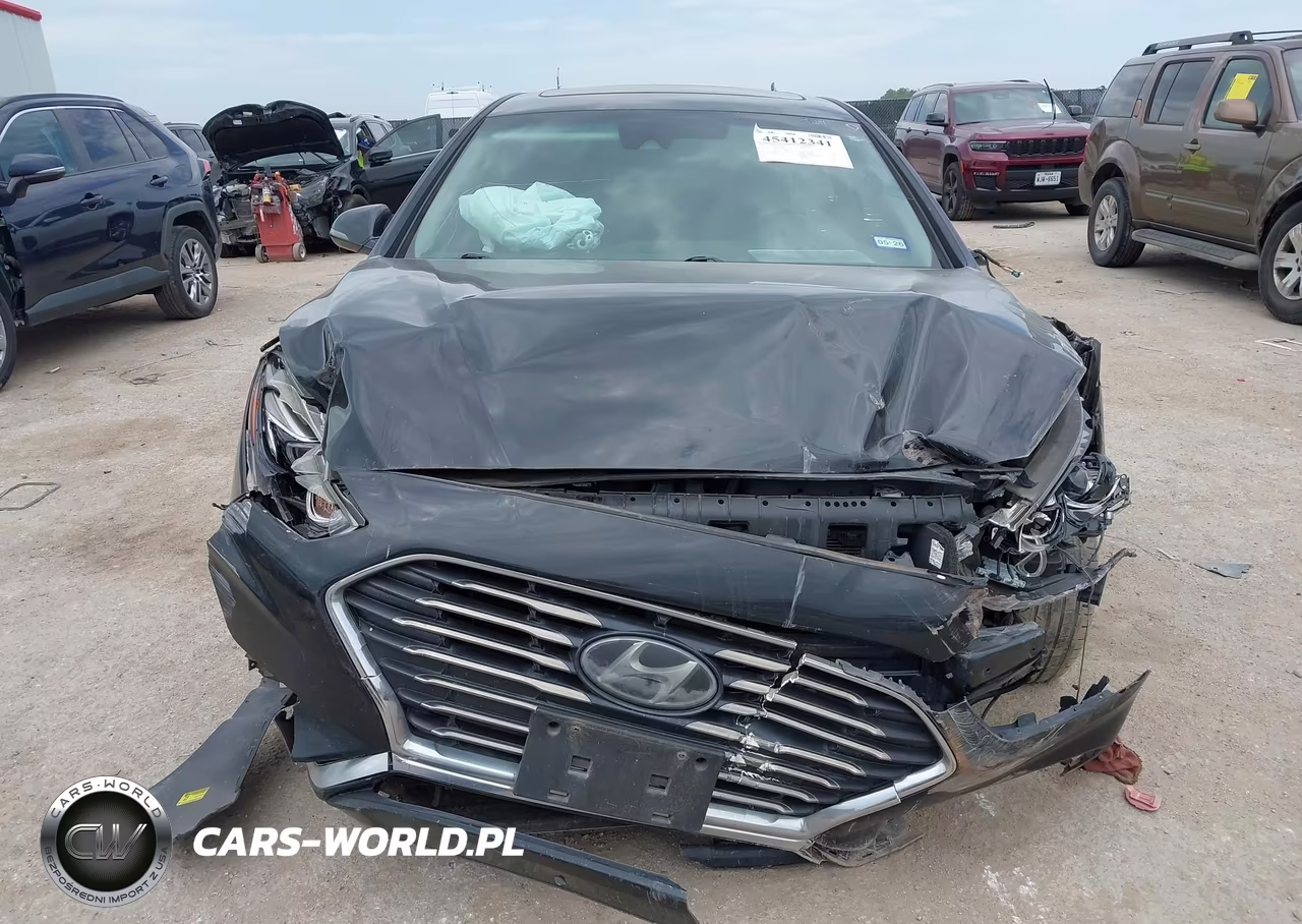 2018 Hyundai Sonata Limited VIN:5NPE34AF4JH658884 - 12