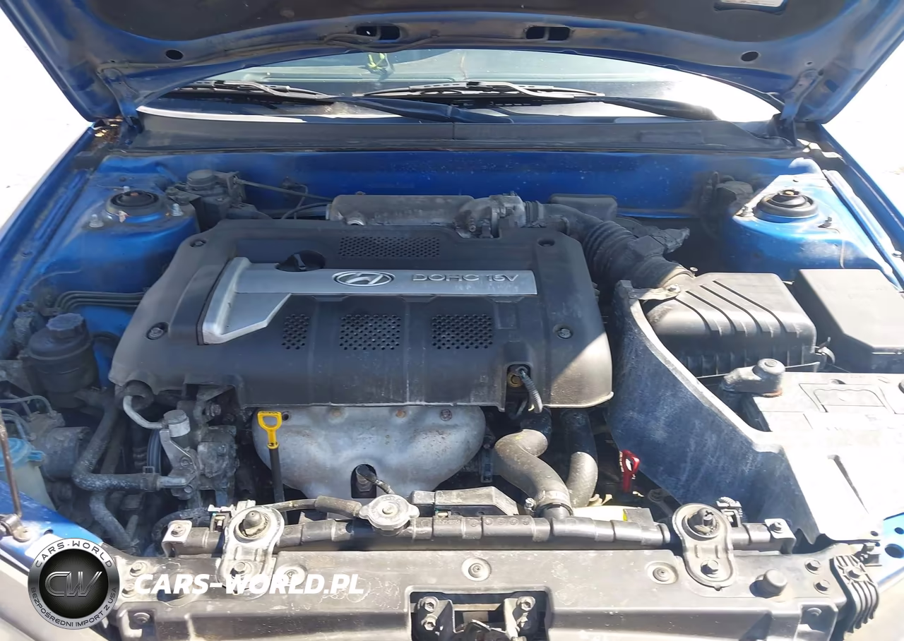 2004 Hyundai Elantra Gt VIN:KMHDN56D84U126935 - 10