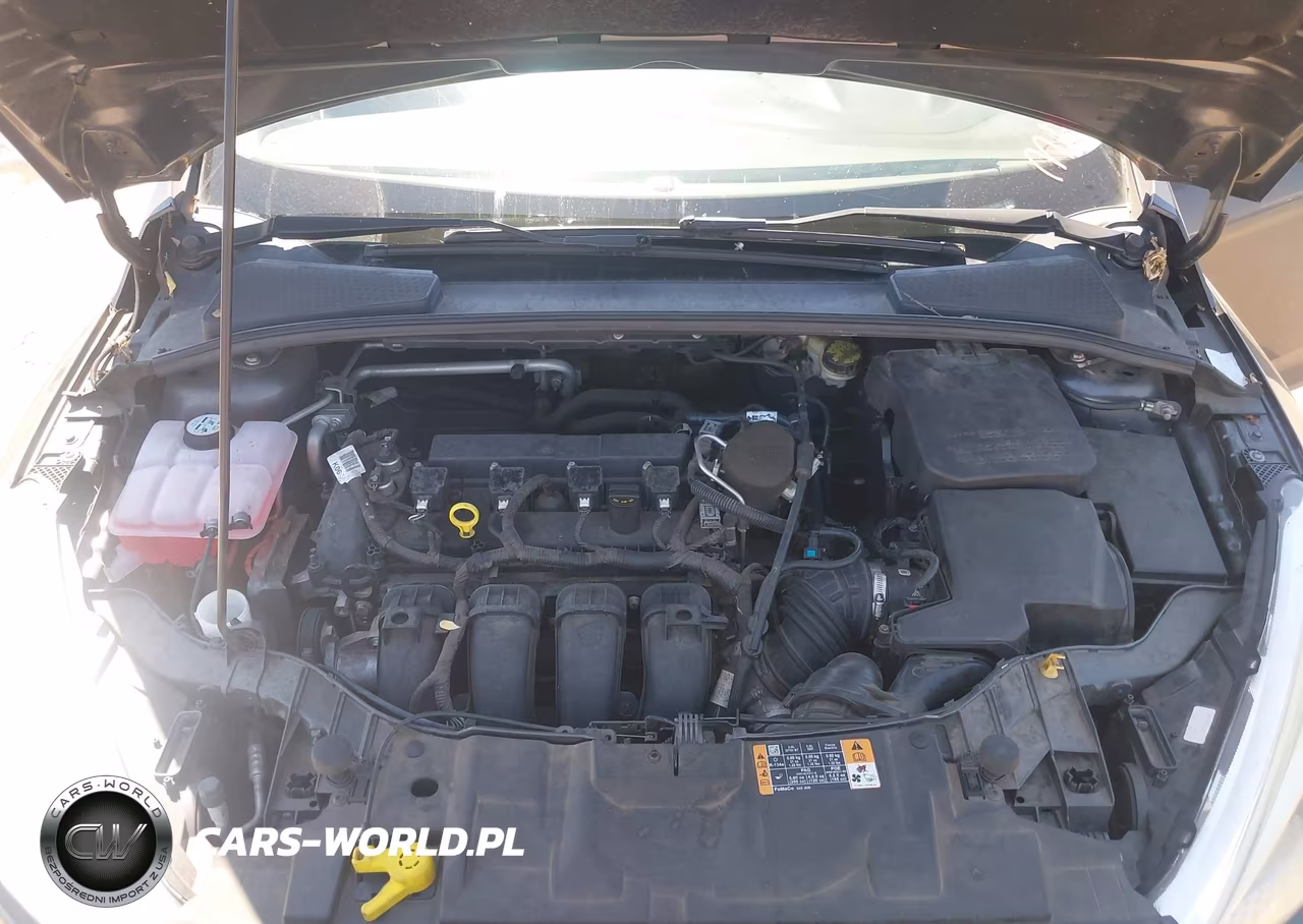 2016 Ford Focus Se VIN:1FADP3F2XGL203550 - 10