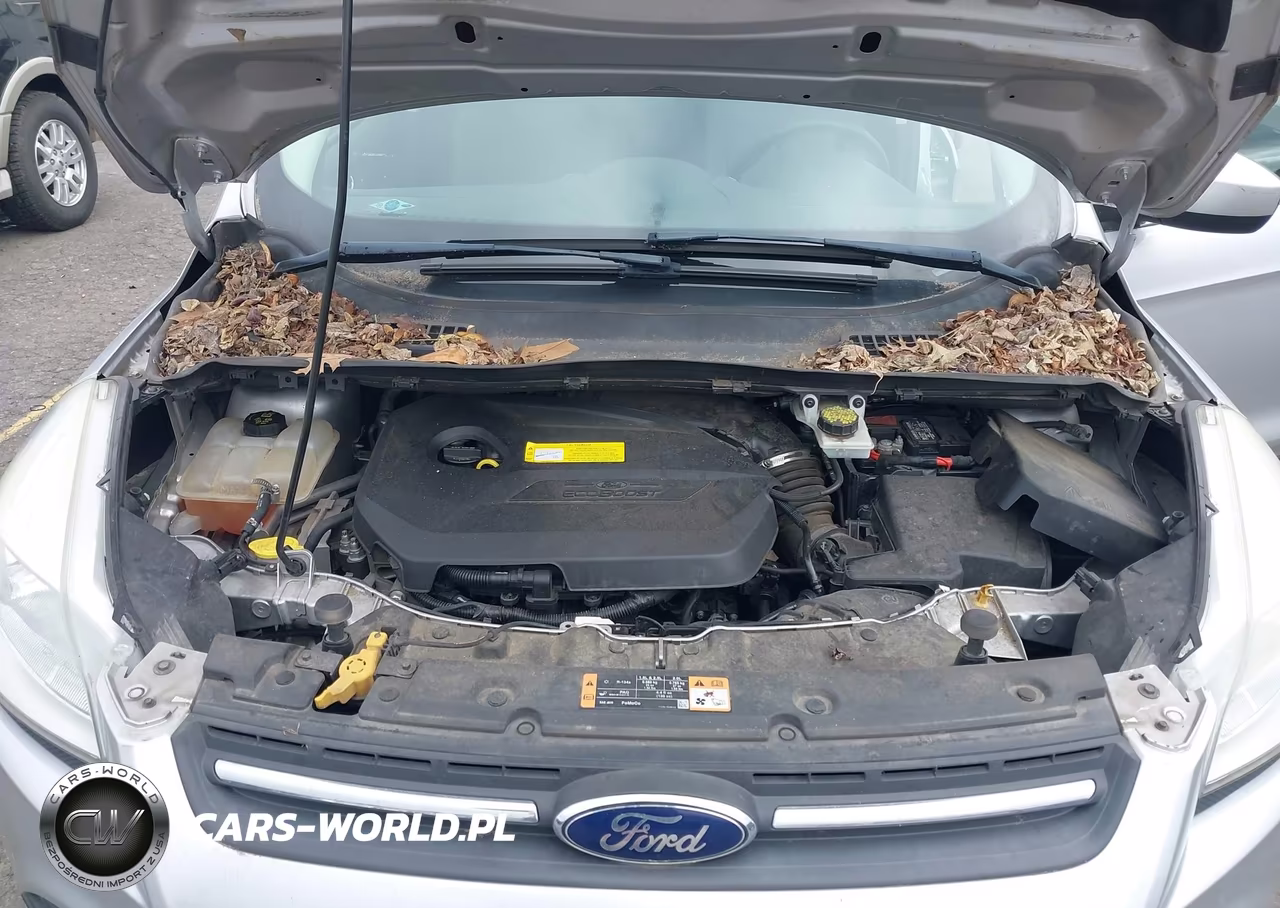 2016 Ford Escape Se VIN:1FMCU0GXXGUC35041 - 10