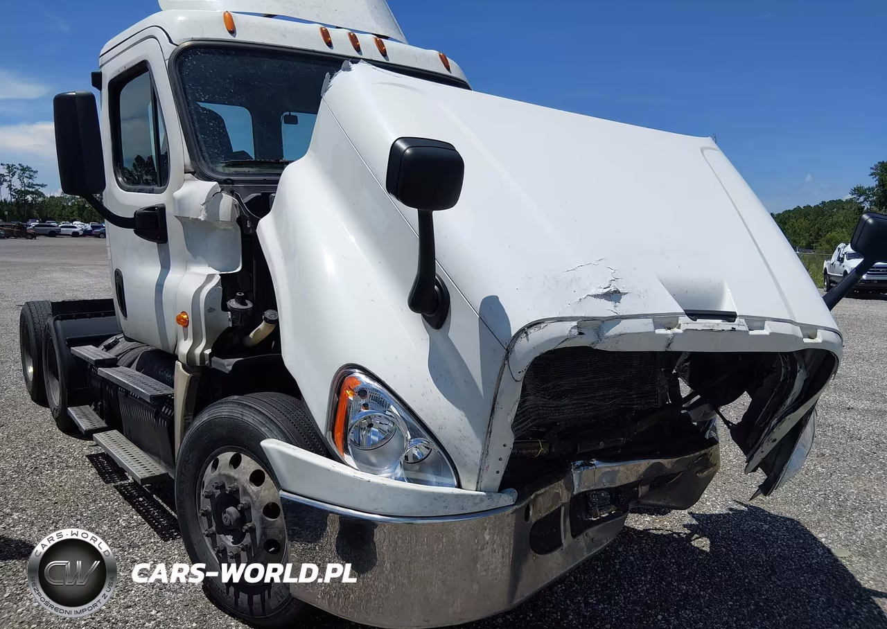 2015 Freightliner Cascadia 125 VIN:3AKJGEBG7FDGL0696 - 11
