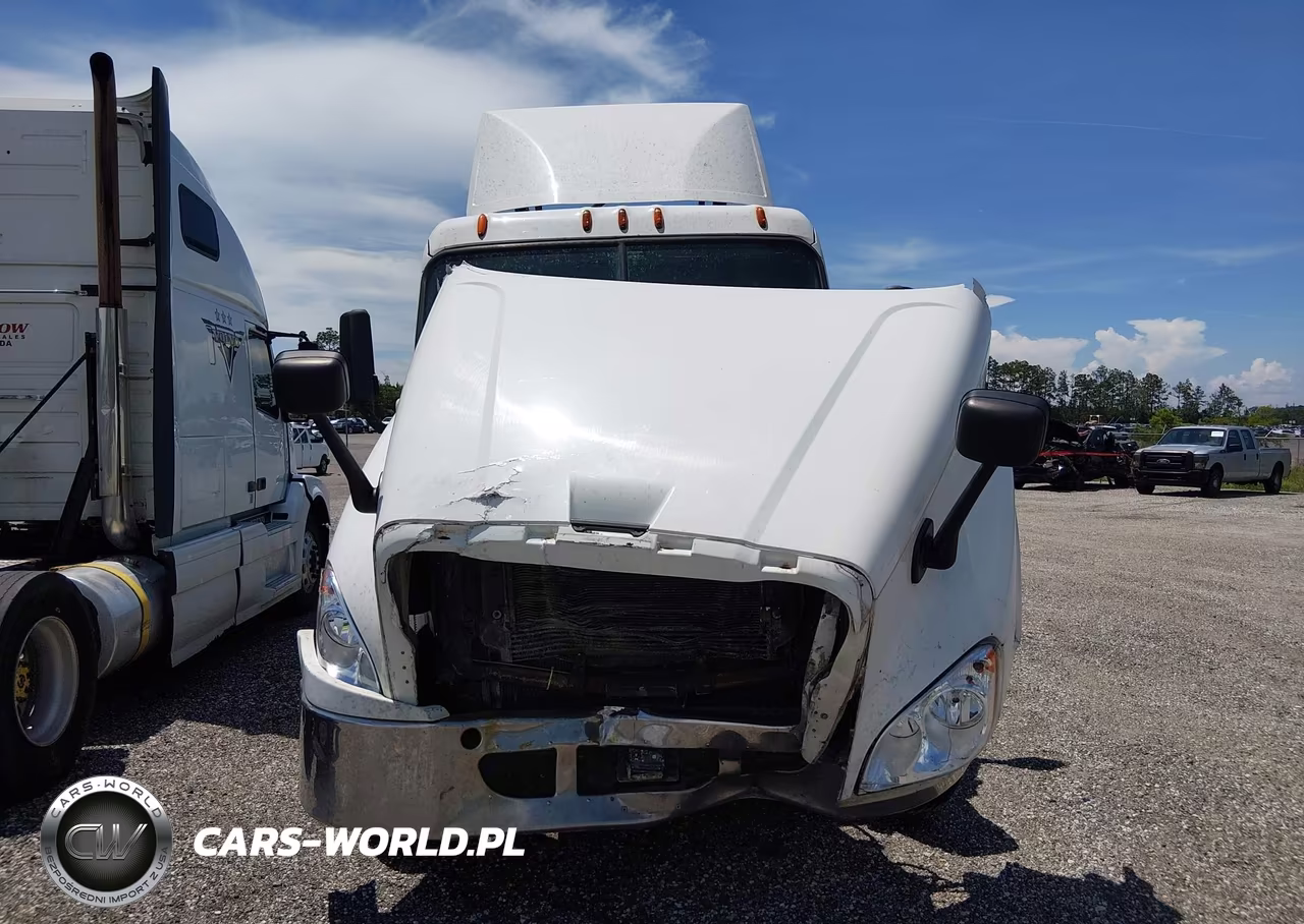 2015 Freightliner Cascadia 125 VIN:3AKJGEBG7FDGL0696 - 12