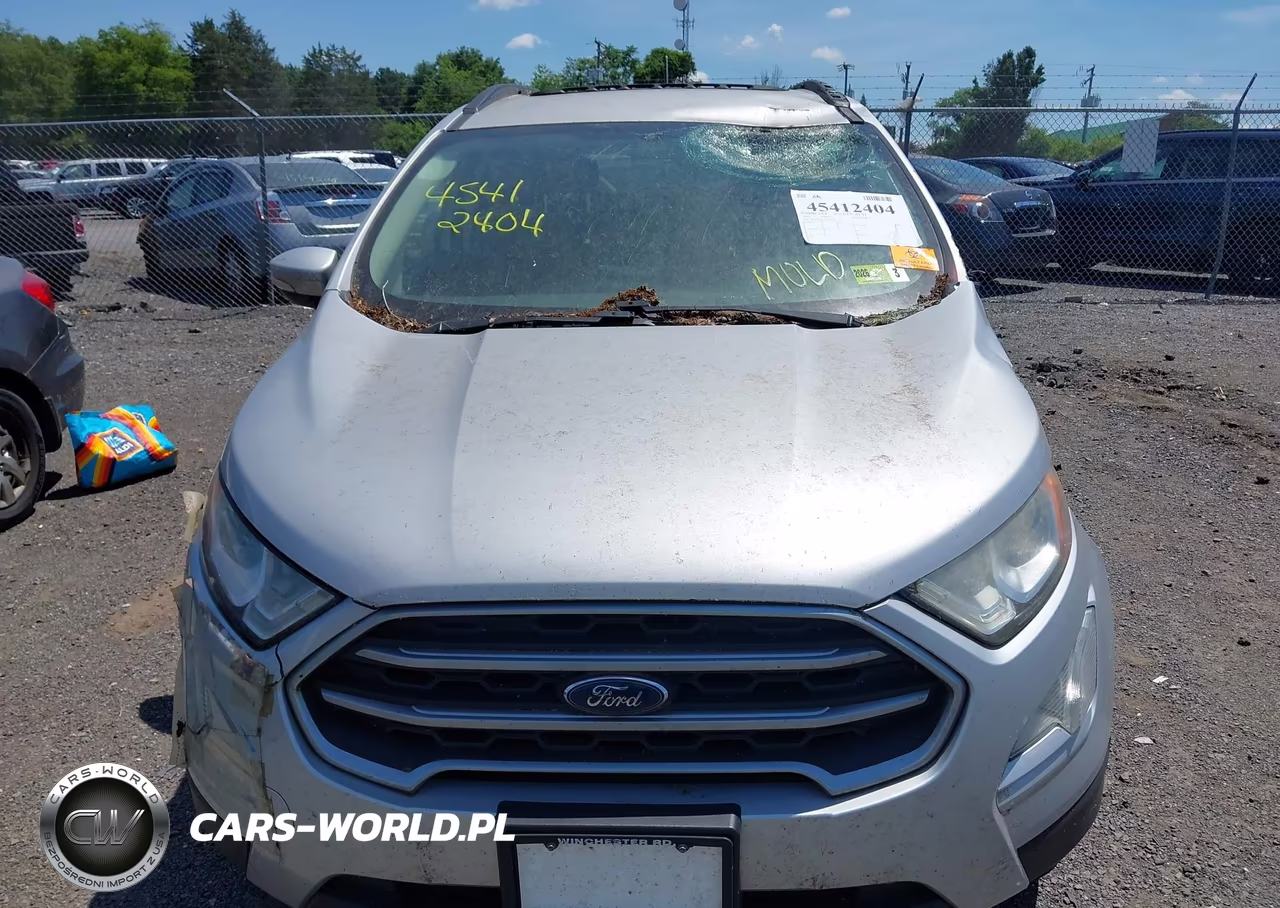 2019 Ford Ecosport Se VIN:MAJ6S3GL3KC287718 - 12