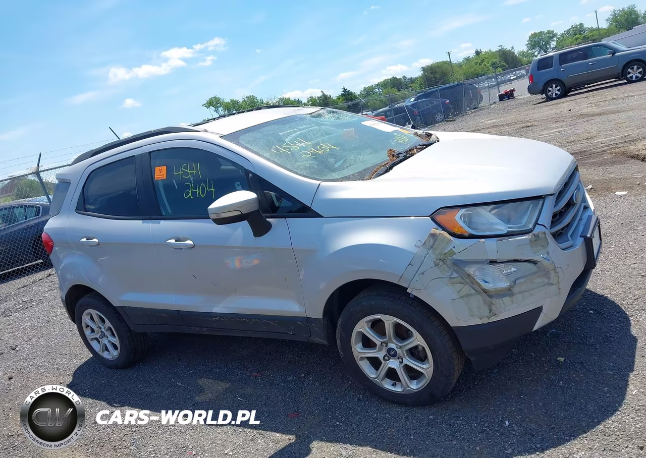 2019 Ford Ecosport Se VIN:MAJ6S3GL3KC287718 - 13