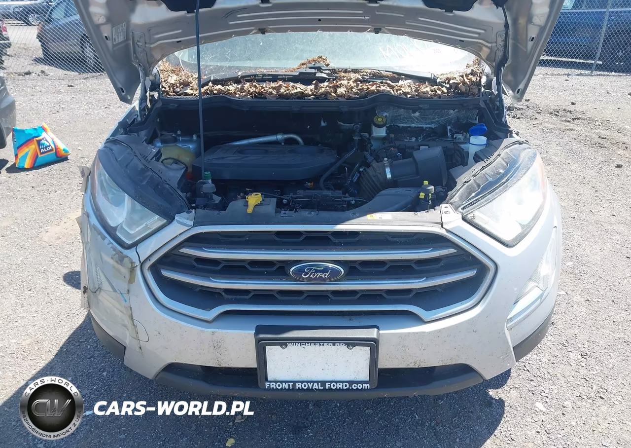 2019 Ford Ecosport Se VIN:MAJ6S3GL3KC287718 - 17