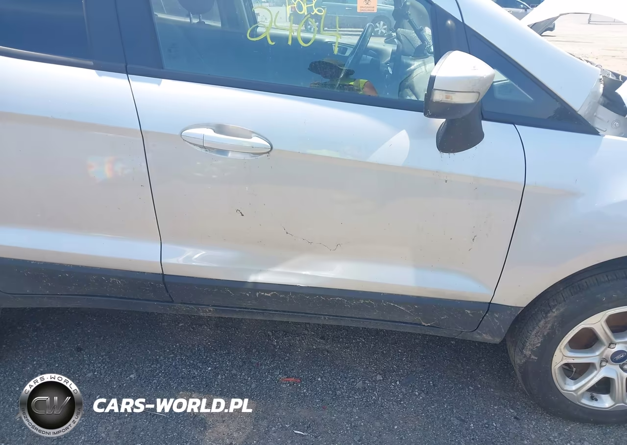 2019 Ford Ecosport Se VIN:MAJ6S3GL3KC287718 - 19