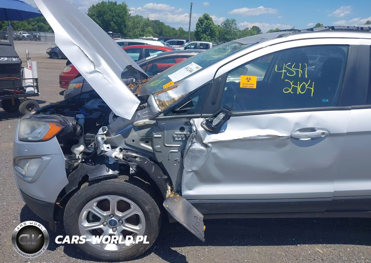 2019 Ford Ecosport Se VIN:MAJ6S3GL3KC287718 - 6