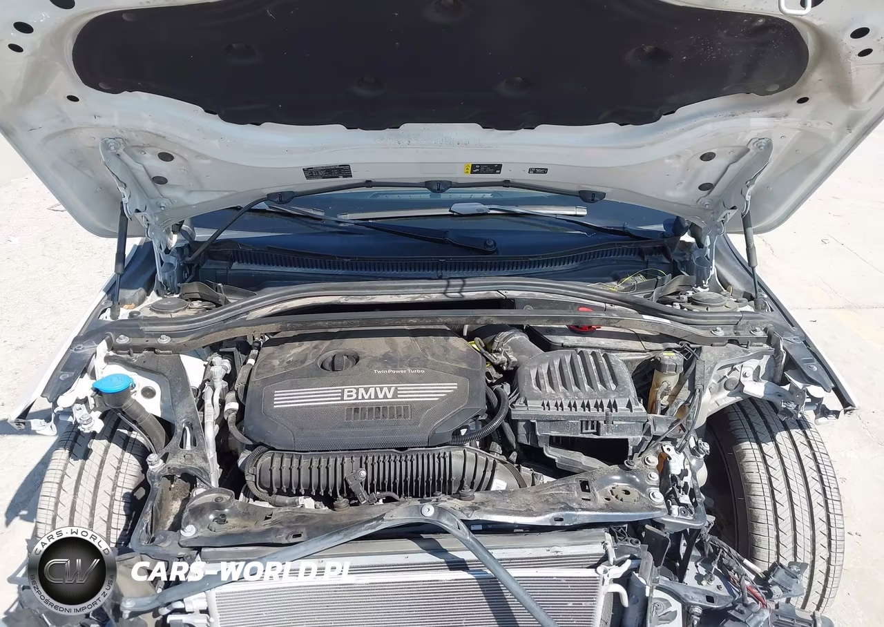 2021 BMW 228I Gran Coupe xDrive VIN:WBA73AK06M7J68325 - 10