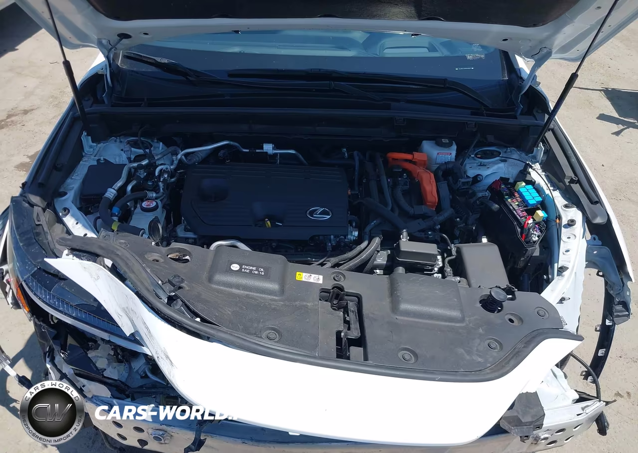 2025 Lexus Nx 450H+ F Sport Handling VIN:JTJKKCFZ4S2056649 - 10