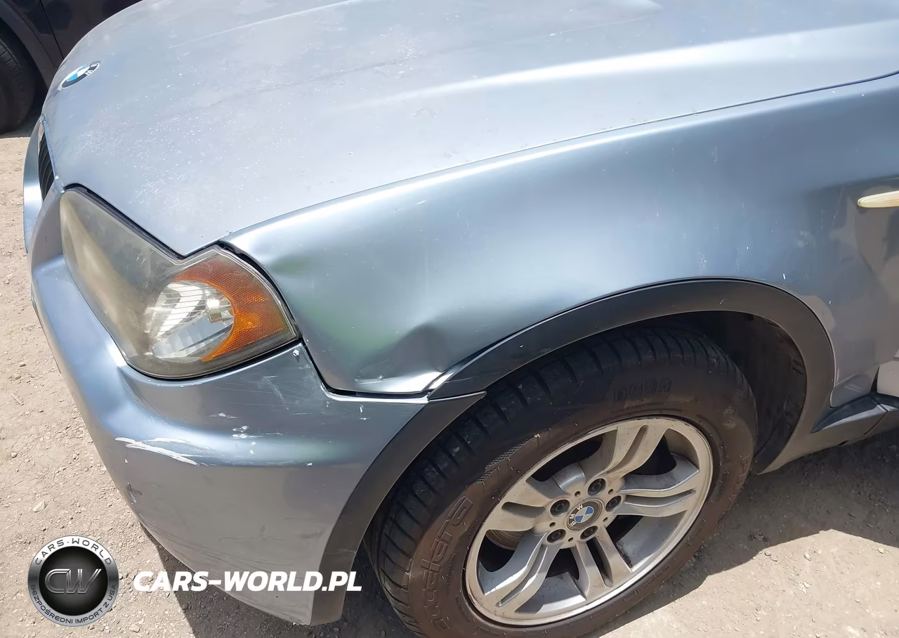 2006 BMW X3 3.0I VIN:WBXPA93486WG86038 - 6