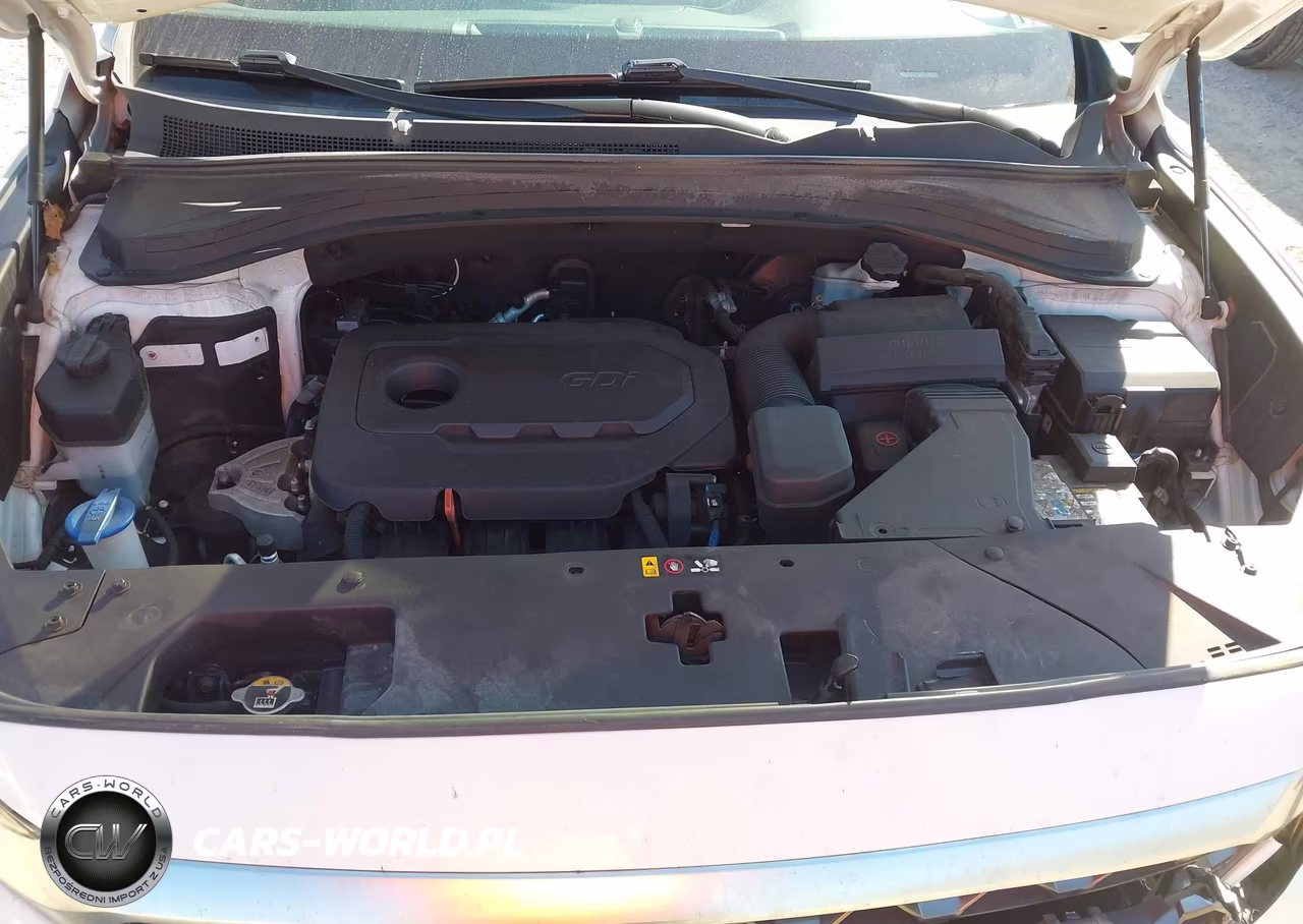 2019 Hyundai Santa Fe Limited VIN:5NMS5CAD0KH041633 - 10