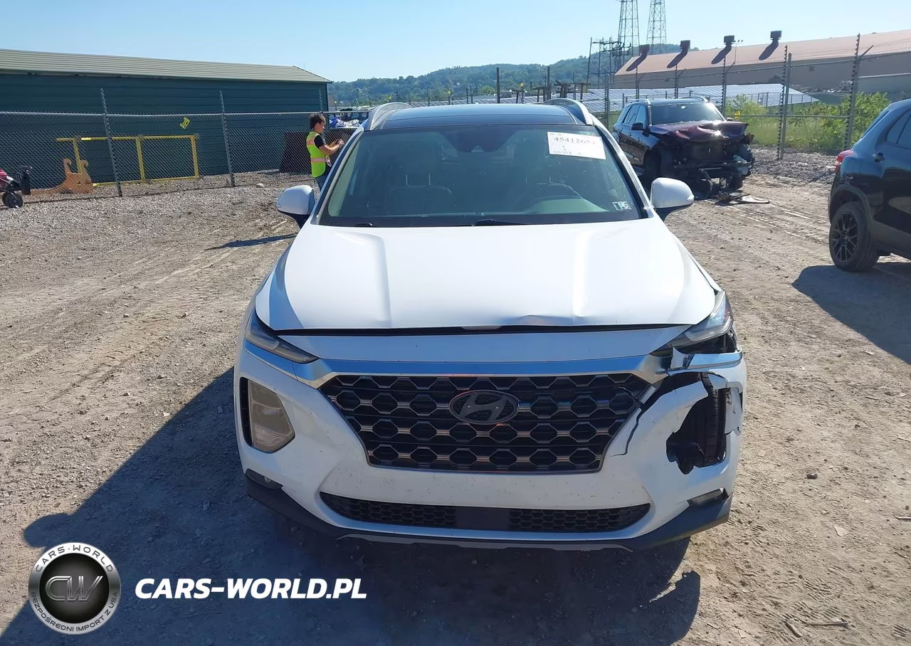 2019 Hyundai Santa Fe Limited VIN:5NMS5CAD0KH041633 - 12