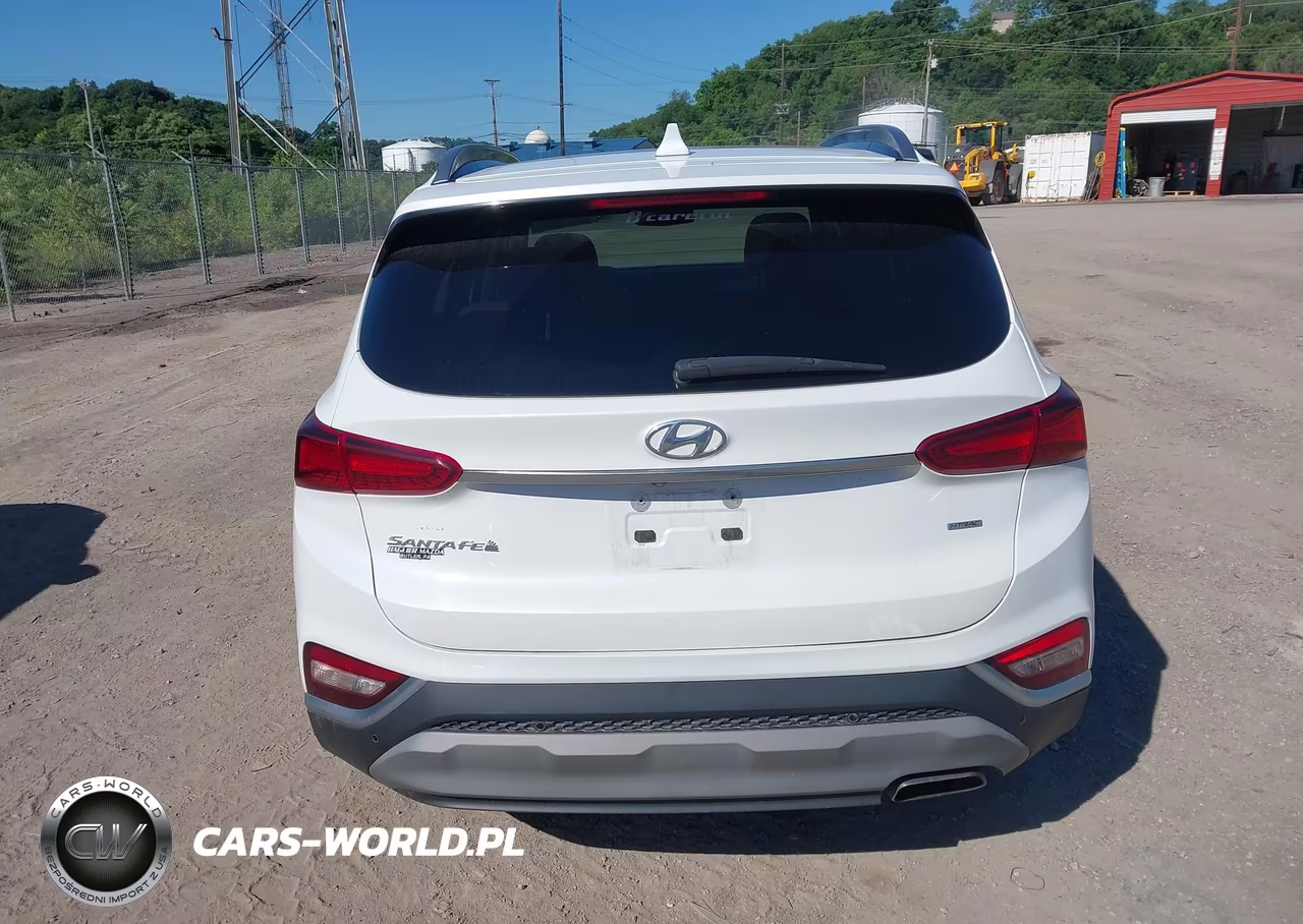 2019 Hyundai Santa Fe Limited VIN:5NMS5CAD0KH041633 - 16