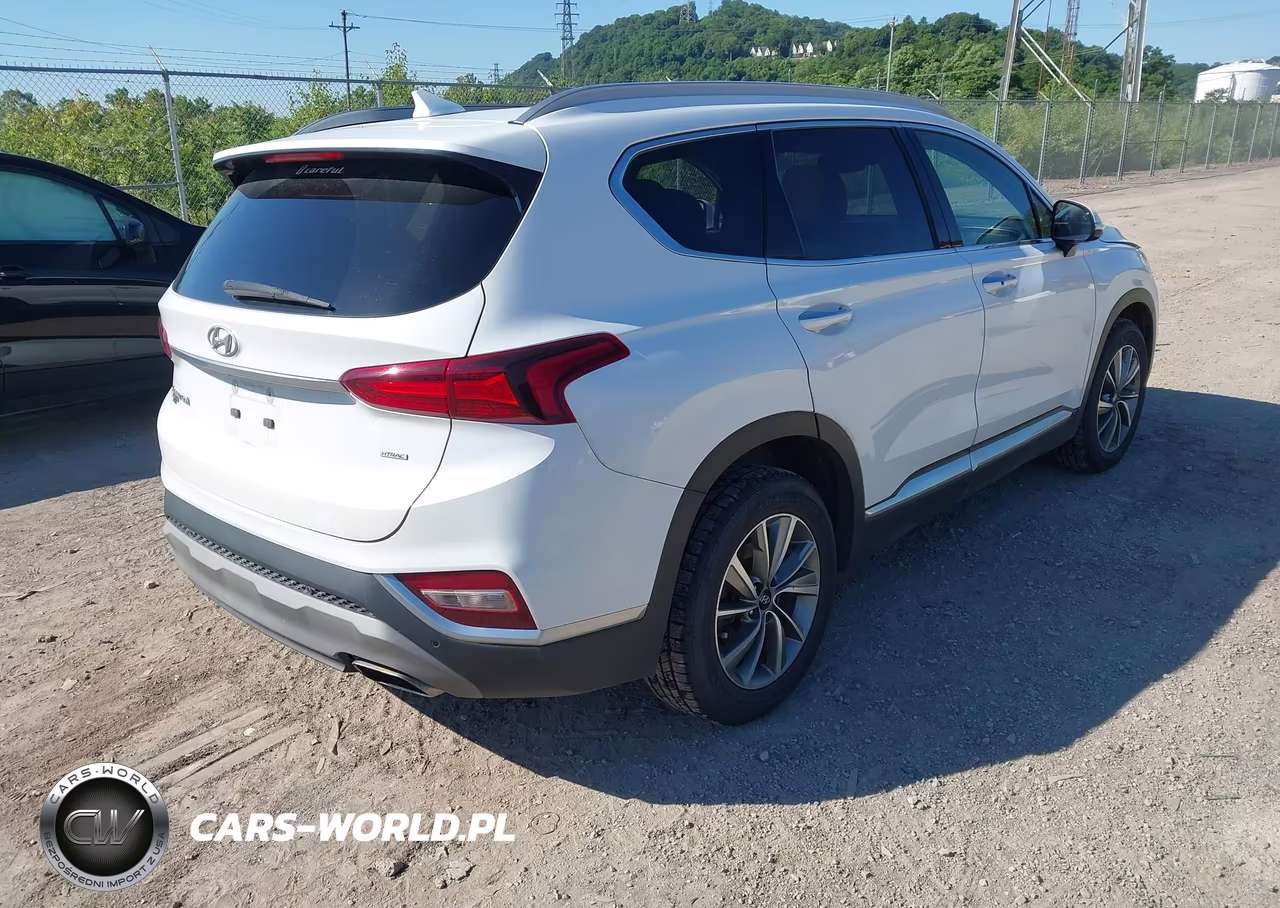 2019 Hyundai Santa Fe Limited VIN:5NMS5CAD0KH041633 - 4