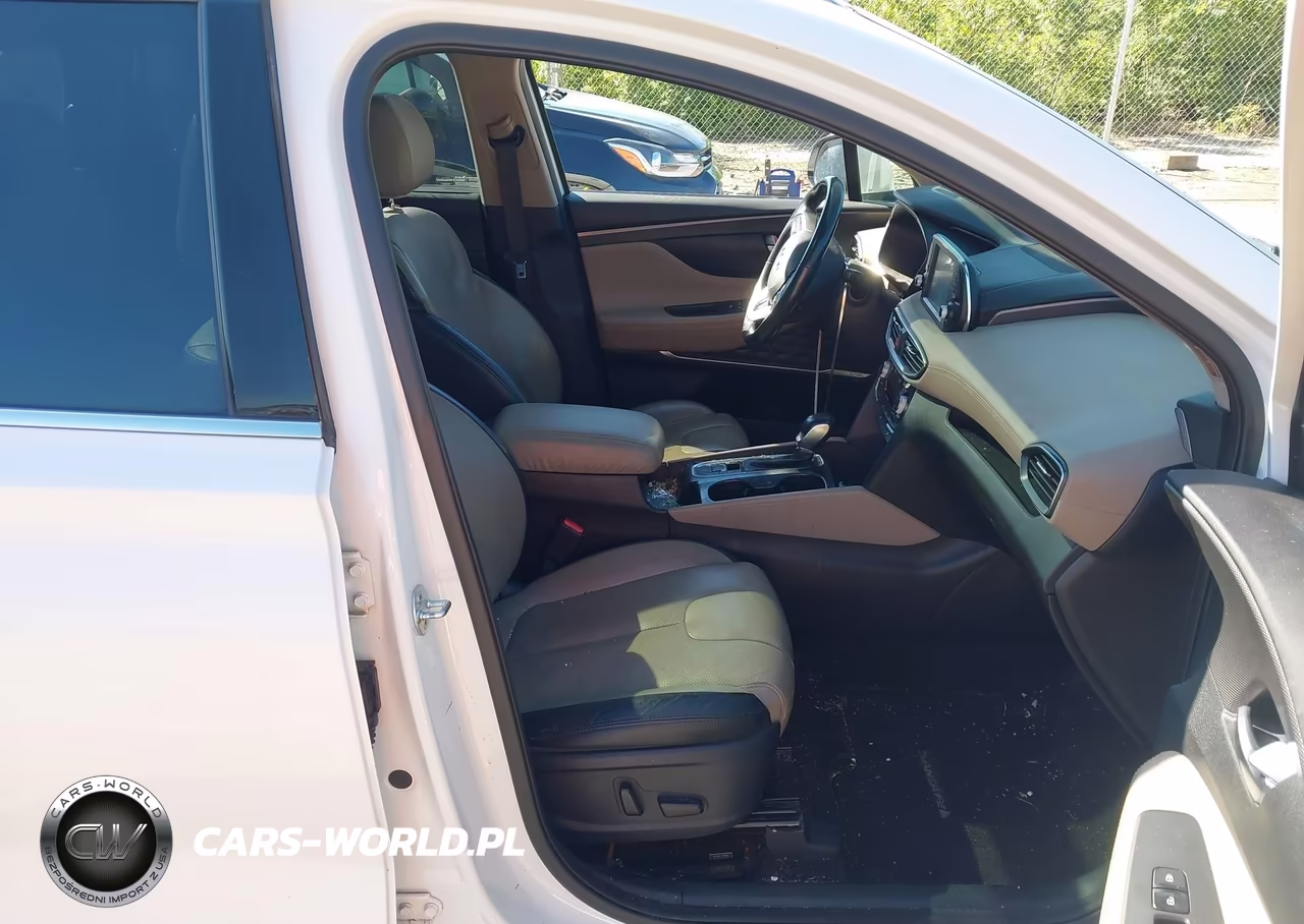 2019 Hyundai Santa Fe Limited VIN:5NMS5CAD0KH041633 - 5