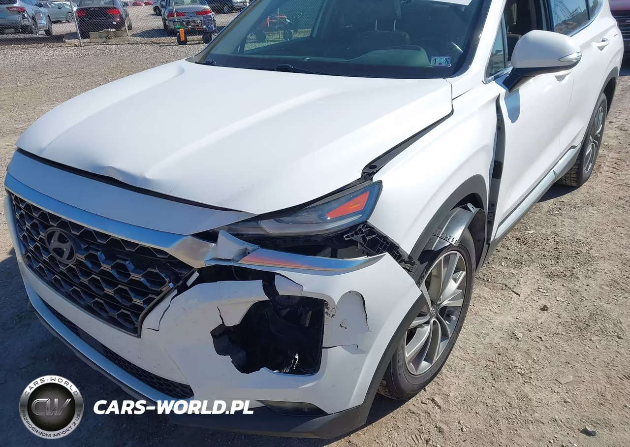 2019 Hyundai Santa Fe Limited VIN:5NMS5CAD0KH041633 - 6