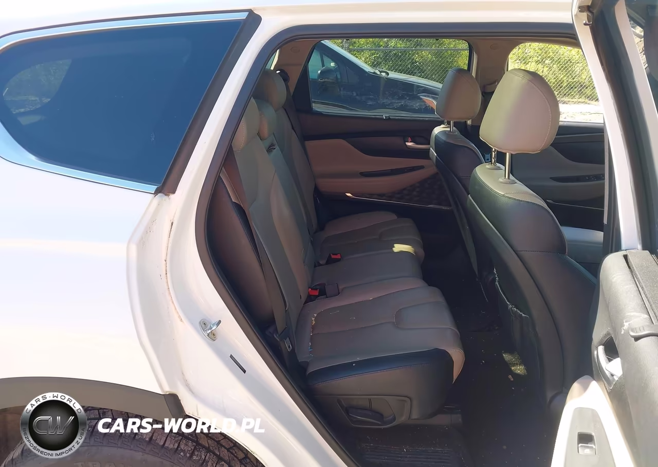 2019 Hyundai Santa Fe Limited VIN:5NMS5CAD0KH041633 - 8