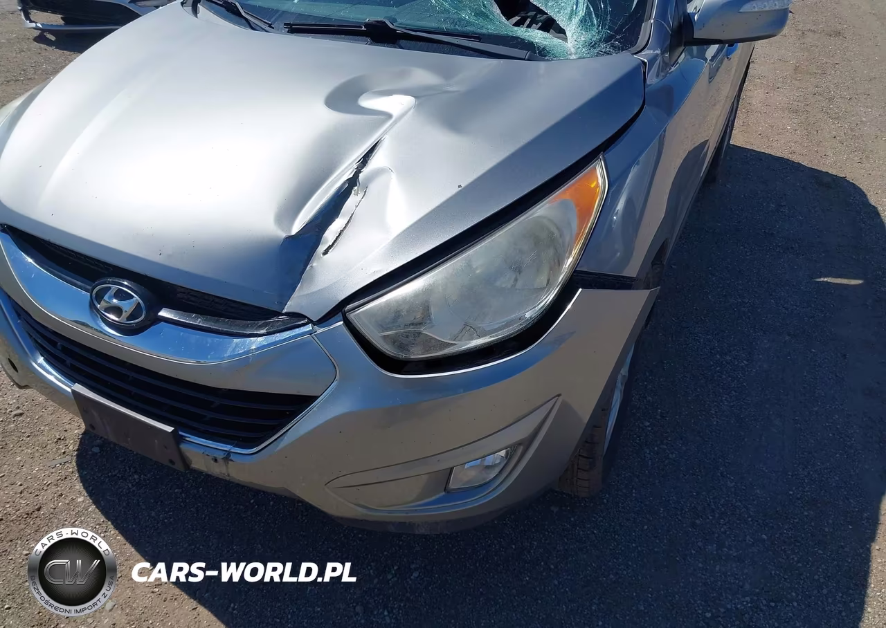 2011 Hyundai Tucson Limited VIN:KM8JU3AC7BU170317 - 6