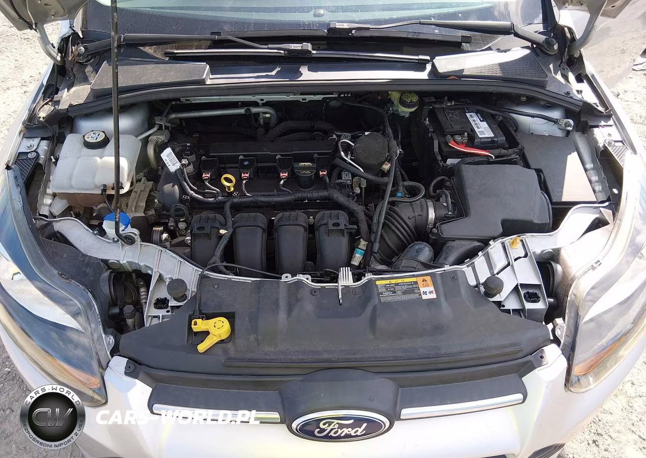 2014 Ford Focus Se VIN:1FADP3F29EL222507 - 10