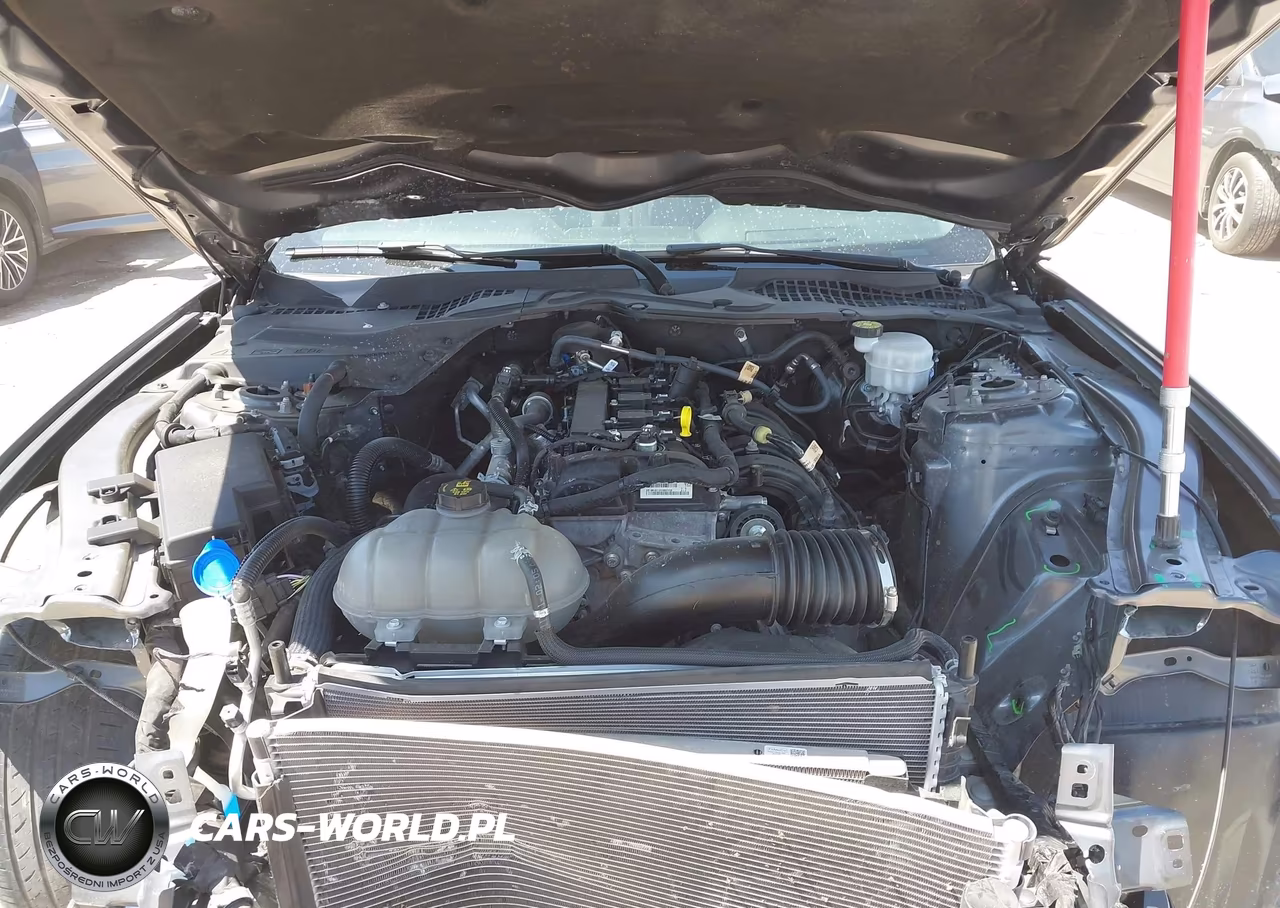 2021 Ford Mustang Ecoboost Fastback VIN:1FA6P8TH6M5154989 - 10