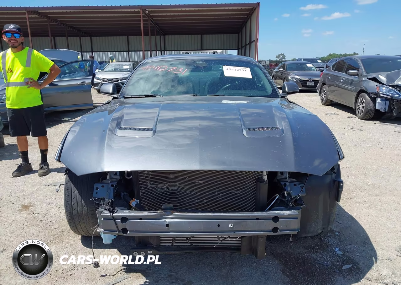 2021 Ford Mustang Ecoboost Fastback VIN:1FA6P8TH6M5154989 - 12